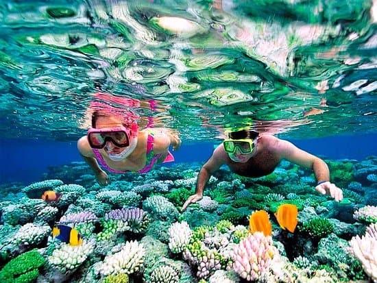 Snorkel en el Parque Natural de Arrecifes Garrafón
