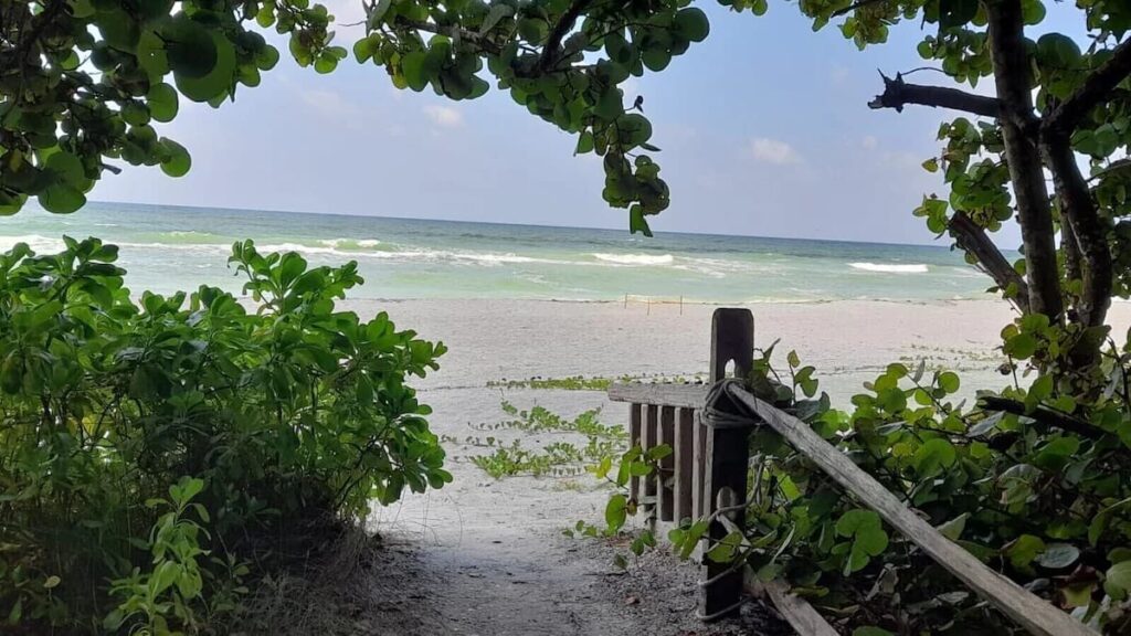 Stump Pass Beach State Park Un Refugio Natural en la Costa de Florida ok