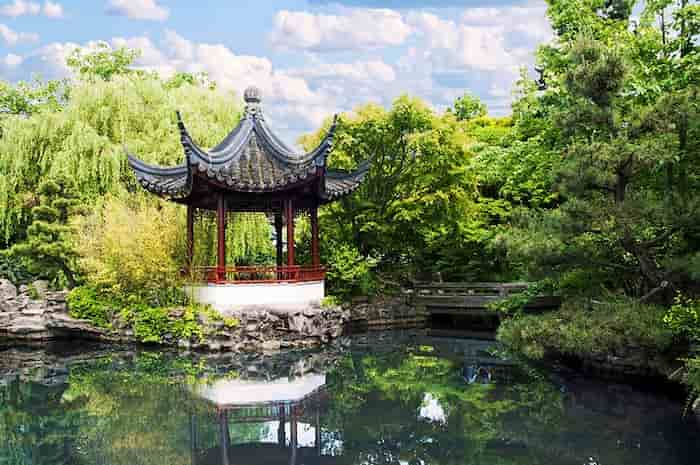 Sumérgete en la cultura en Chinatown