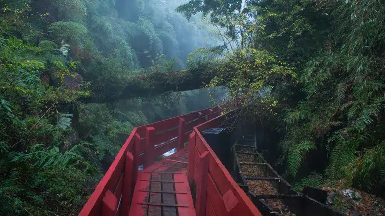Termas Geométricas (Pucón)