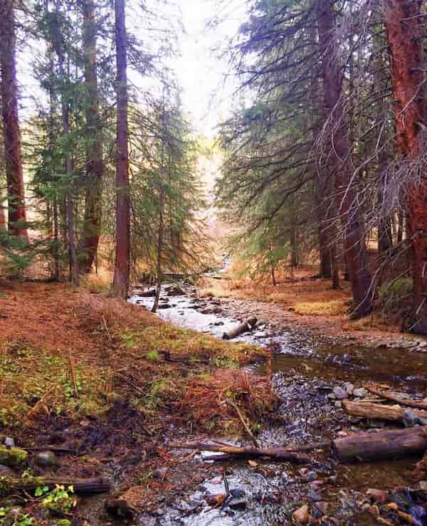 The Burro Trail