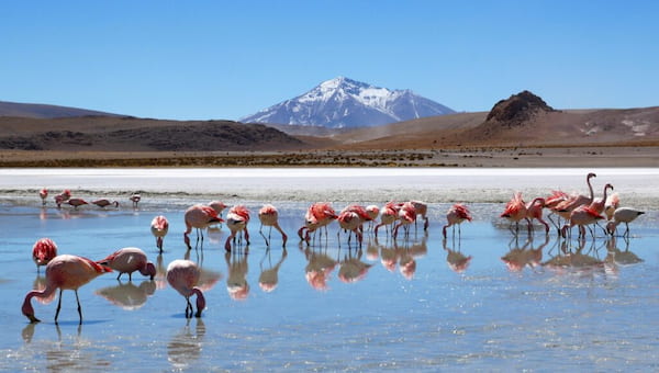 Tips para visitar el Salar De Uyuni