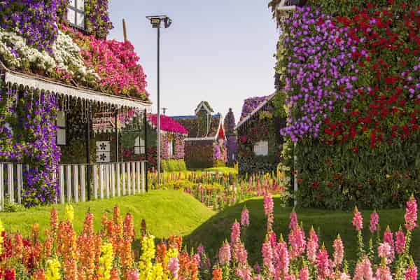 Toma las mejores selfies en Miracle Garden