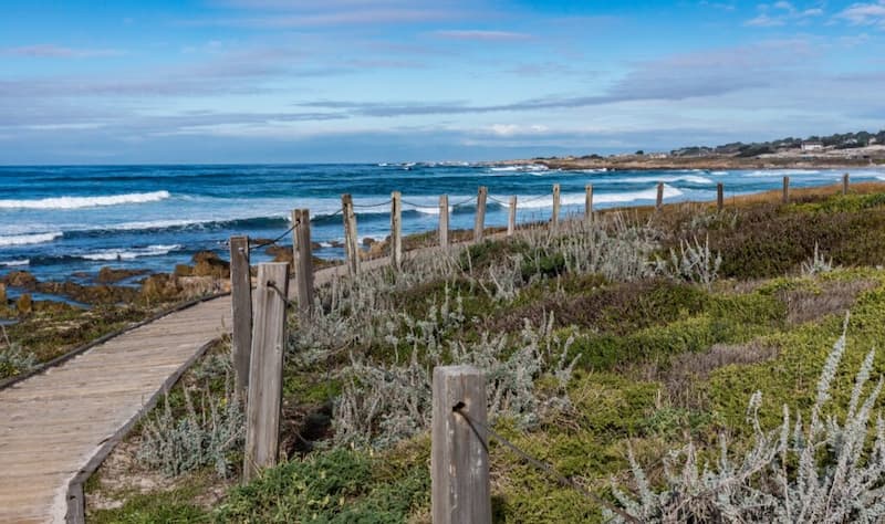 Tomar el sol en la playa estatal de Asilomar
