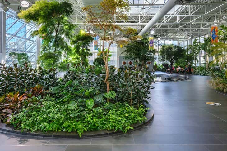 Tome asiento en los jardines devónicos