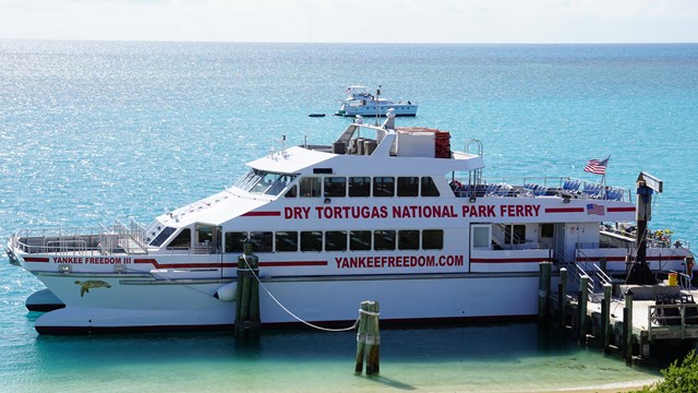 Tome el ferry al Parque Nacional Dry Tortugas