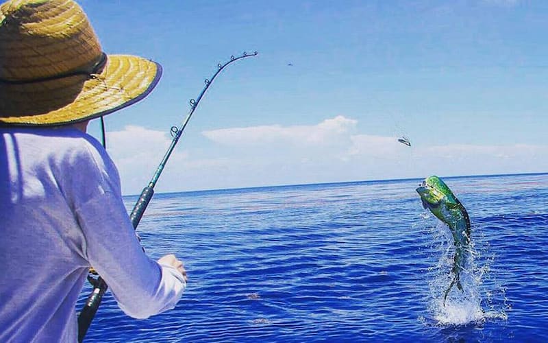 Torneo Pesca la paz méxico-itinerario la paz baja california