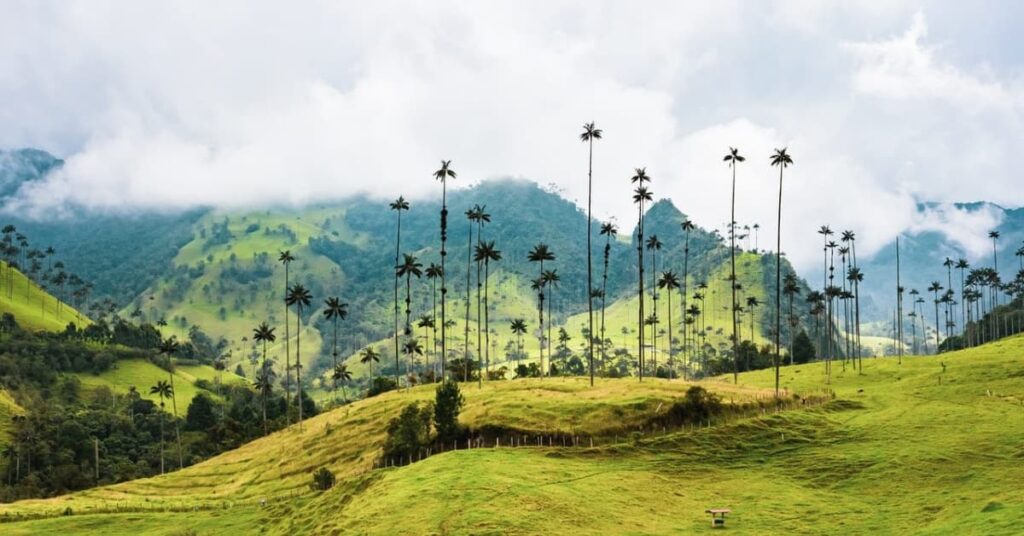 Triángulo cafetero-lugares para visitar en colombia