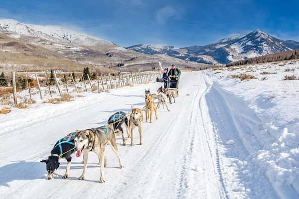 Trineos tirados por perros-Actividades para disfrutar del invierno en Park City
