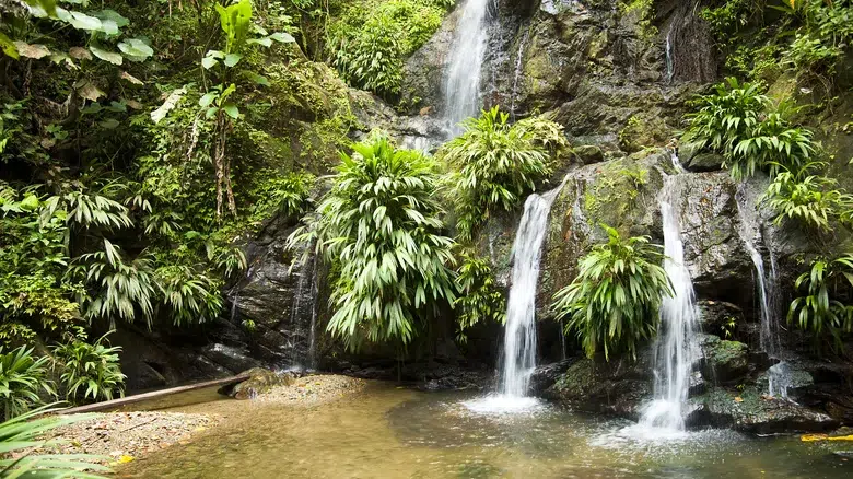 Trinidad y Tobago, Caribe