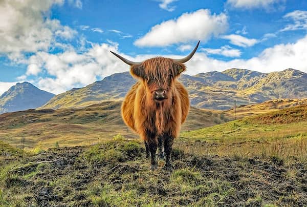 Trossachs, Stirling