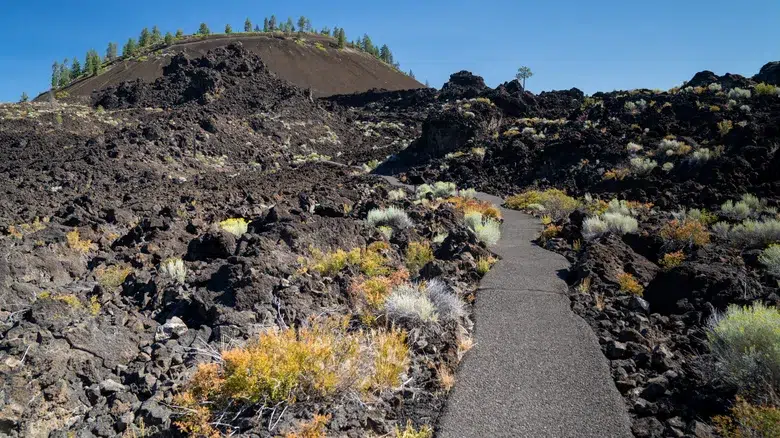 Tubos de lava en el Monumento Volcánico Nacional Newberry