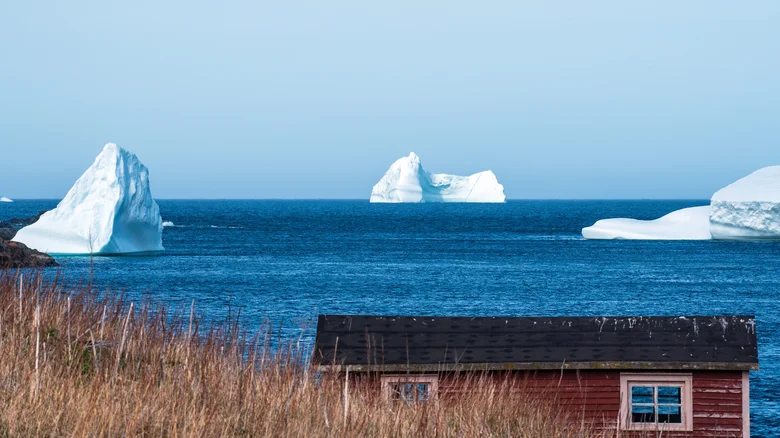Twillingate, Terranova y Labrador