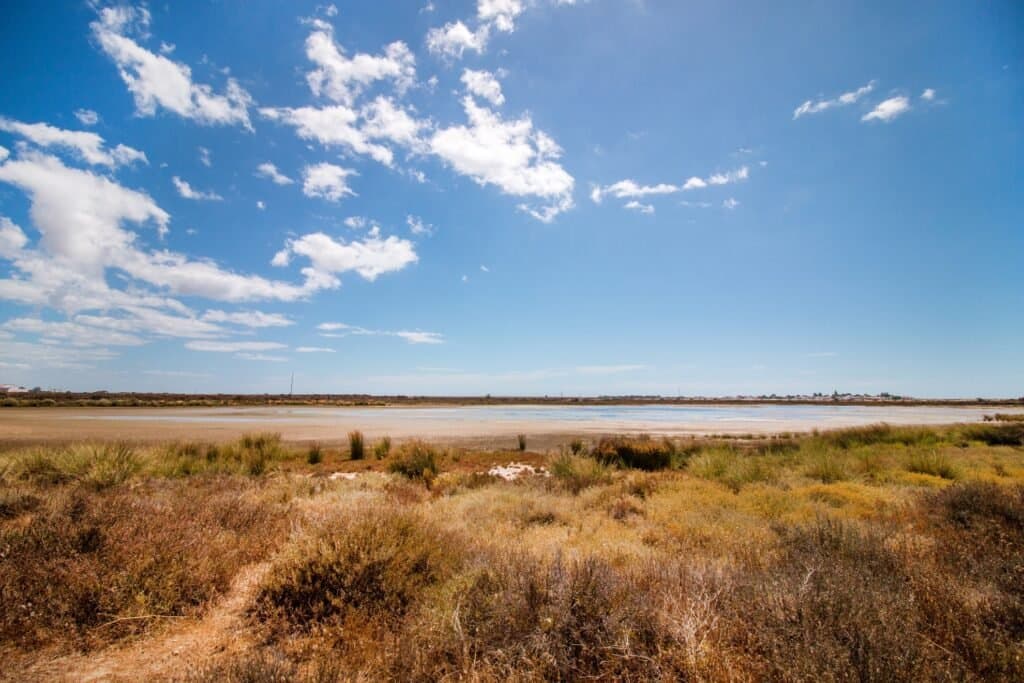 Un viaje en barco a Ria Formosa