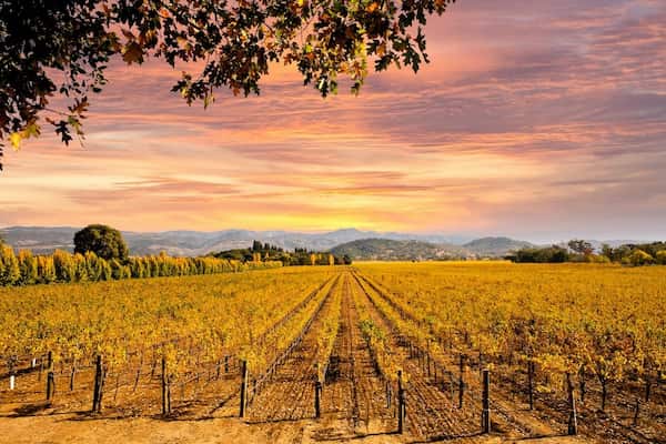 Valle de Napa, California