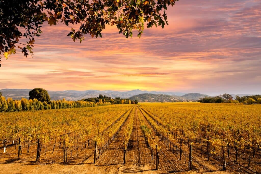 Valle de Napa