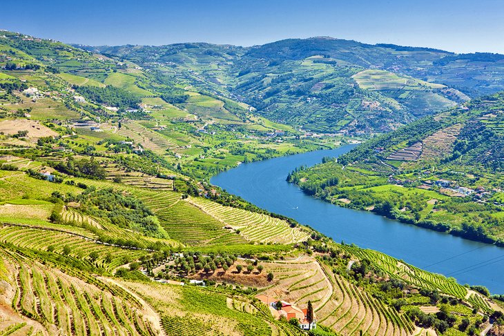 Valle del Duero