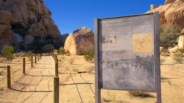 Valle escondido-Rutas de senderismo en el Parque Nacional Joshua Tree