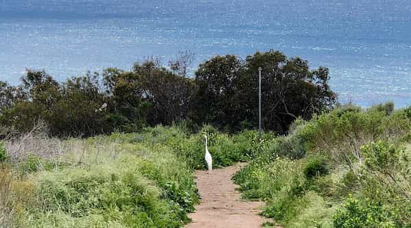 Vea la vista en Malibu Bluffs Park