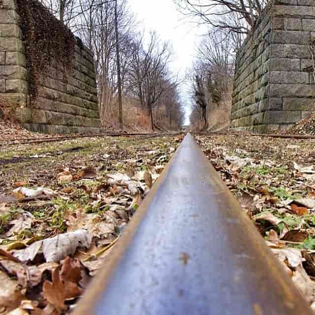 Vea los colores del otoño desde una perspectiva única en un recorrido en tren