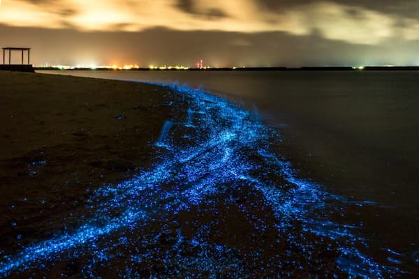 Ven a ver el mar de estrellas
