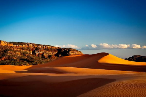 Viaje adicional de la etapa 1 - Parque estatal Coral Pink Sand Dunes-Viaje por Carretera de Zion a Bryce Canyon