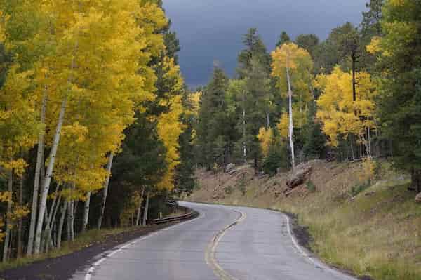 Viaje lateral del segmento 2 - Snowbowl Road