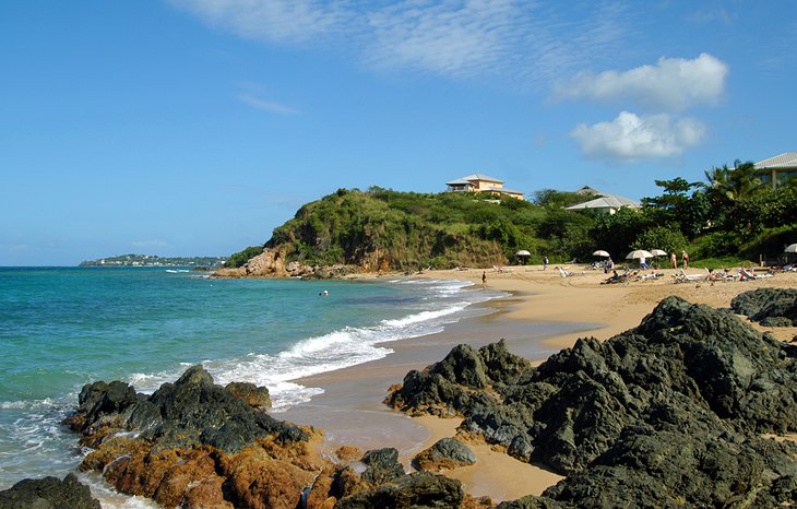 Vieques y la Bahía Bioluminiscente