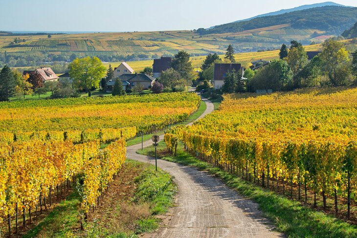 Villages Fleuris y los pueblos más bellos de Francia