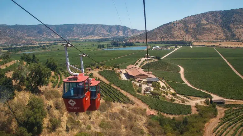 Viñedos del Valle de Colchagua