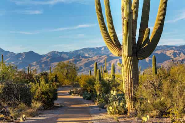 Visita Los Jardines de Cactus