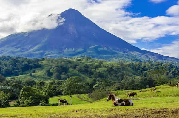 Visita Los Volcanes