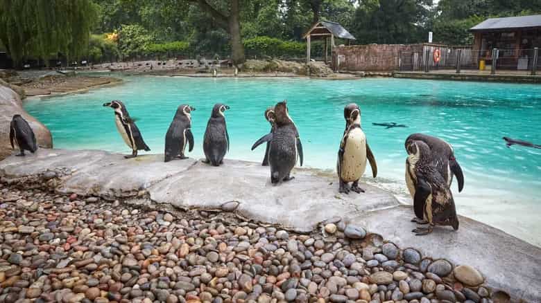 Visita fabulosos zoológicos y acuarios