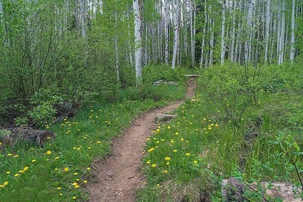 Volver arriba-Purgatory Flats