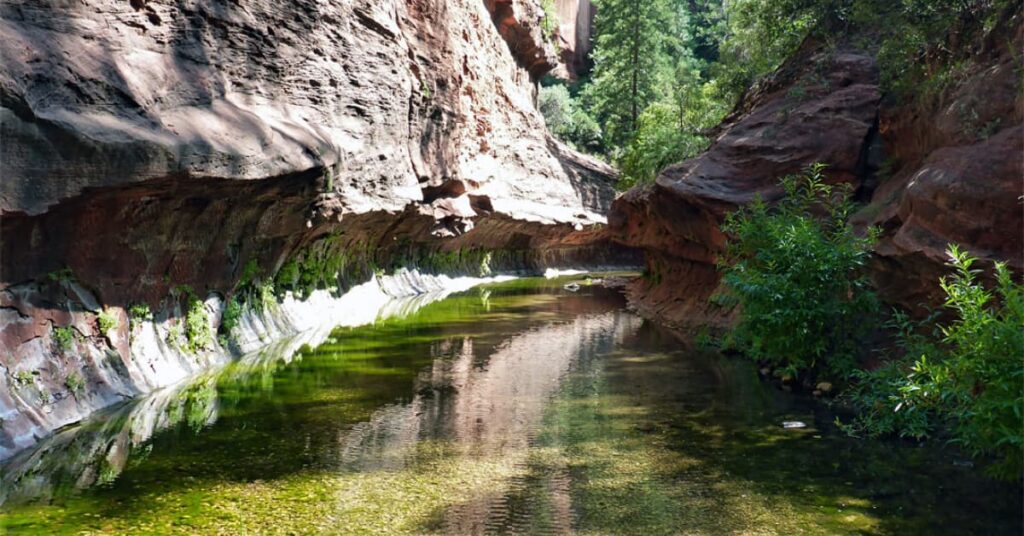 West Fork of Oak Creek