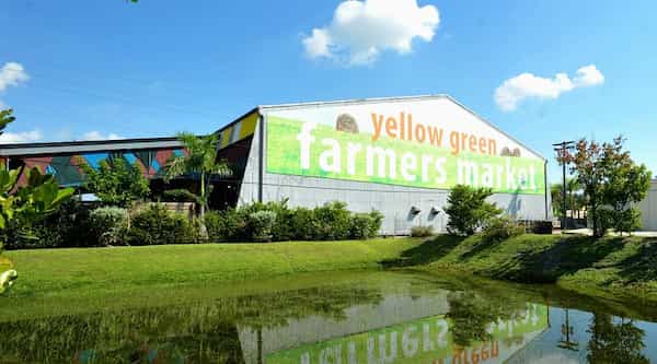 Yellow Green de Hollywood-Atracciones turísticas de Hollywood
