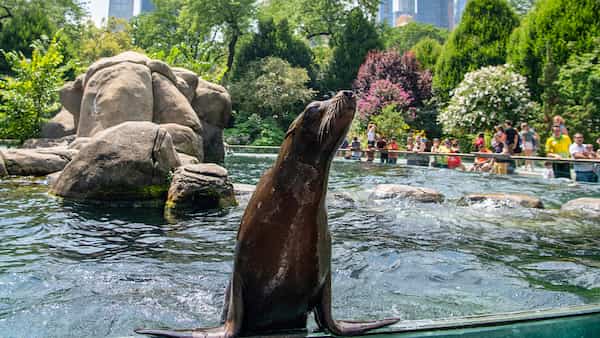 Zoológico del parque central