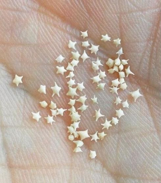 arena en forma de estrella en la mano 1