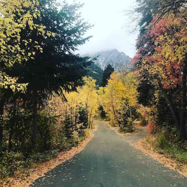 campamento Tanners Flat-Acampar cerca de Salt Lake City