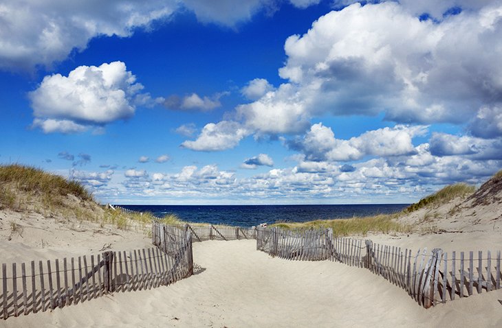 cape cod-Actividades de un día desde Boston