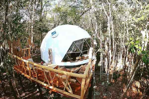 casa ecológica en el árbol