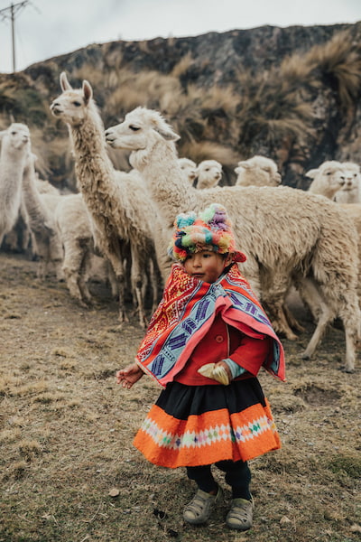 ceremonia de bendición de llamas 3