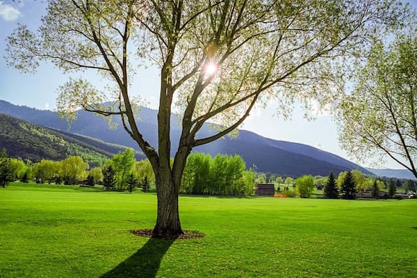 golf-Verano en Park City