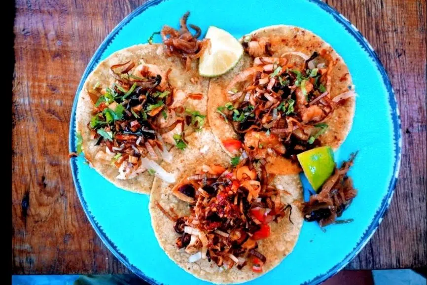 Holbox Restaurant Guide