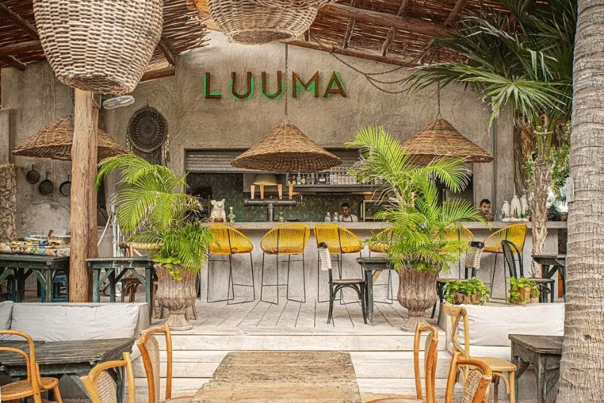 Luuma, uno de los mejores restaurantes de Holbox mexico