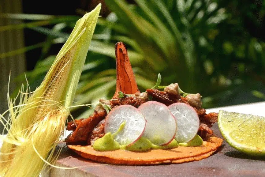 Milpa, uno de los mejores restaurantes de Holbox mexico