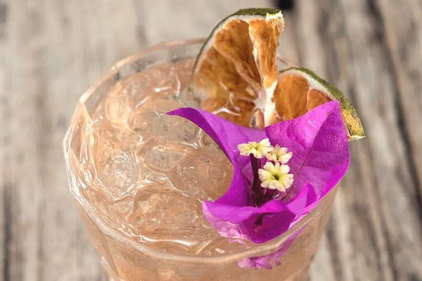 Holbox Restaurant Guide, the best restaurants in Holbox mexico