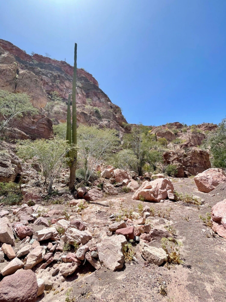 Caminatas por el interior del cañón con pinturas rupestres históricas en Loreto