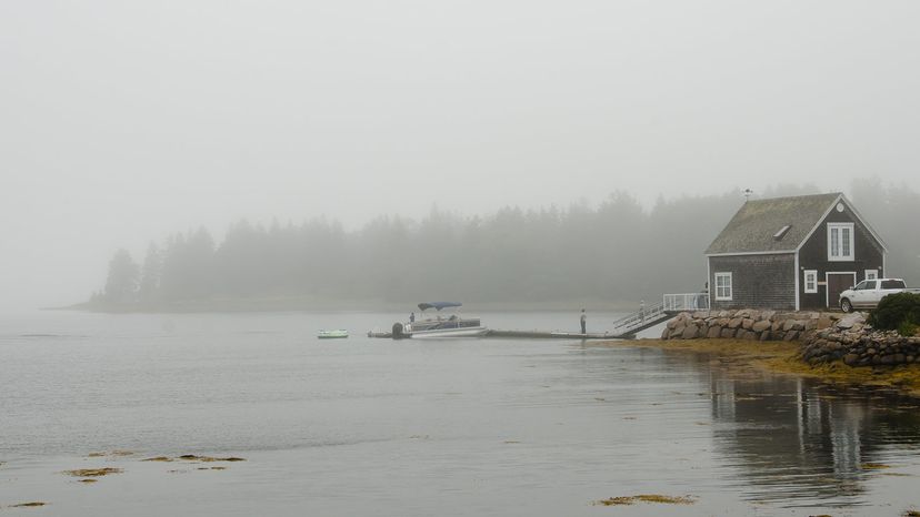Pozo de dinero de Oak Island-búsquedas legendarias de tesoros que ocurrieron en la vida real