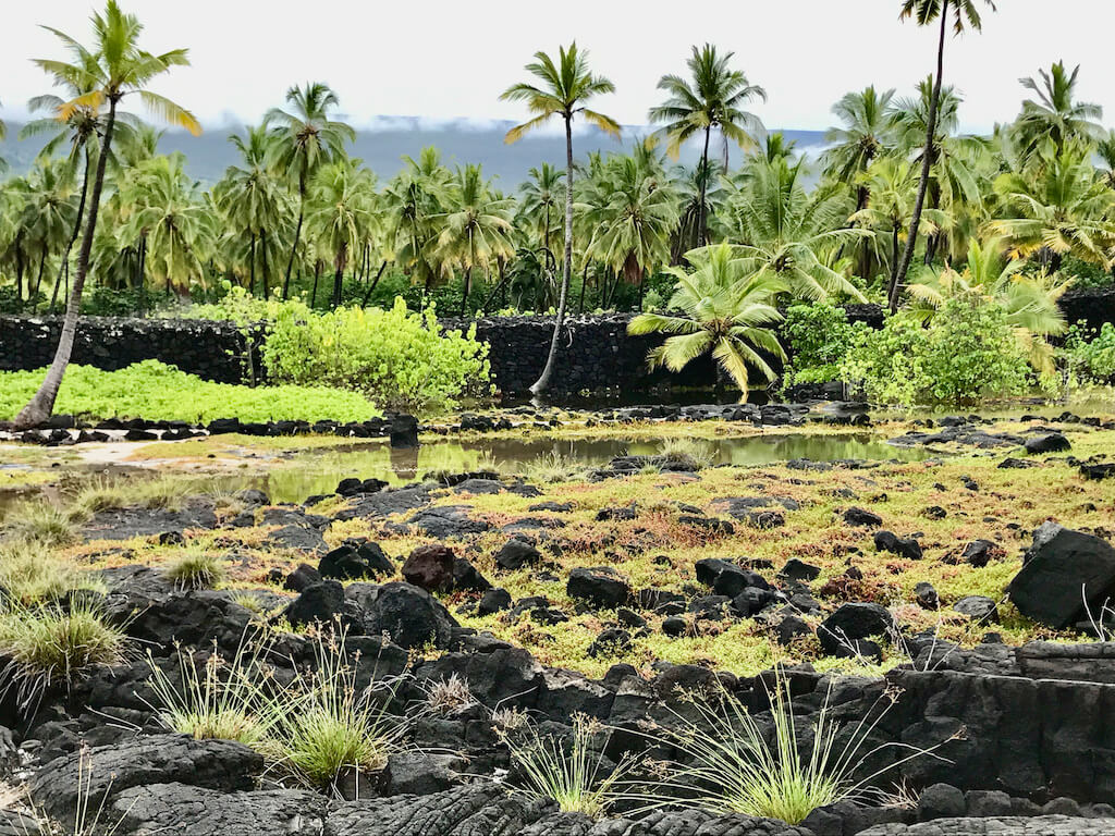 Mejores Lugares para Visitar en Enero en EE.UU Isla Grande, Hawái